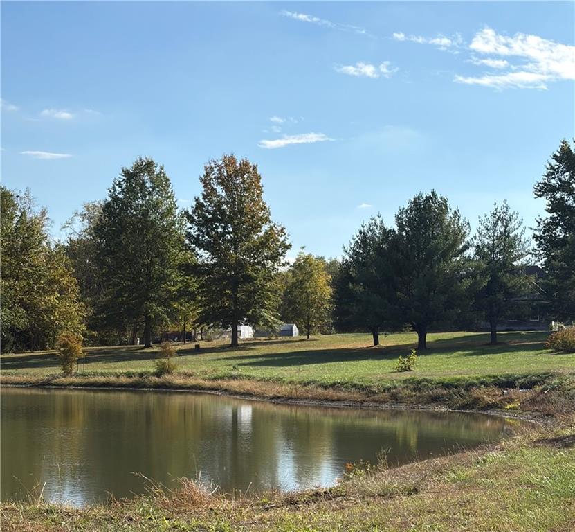 Listing Photo MLS #HMS2582883