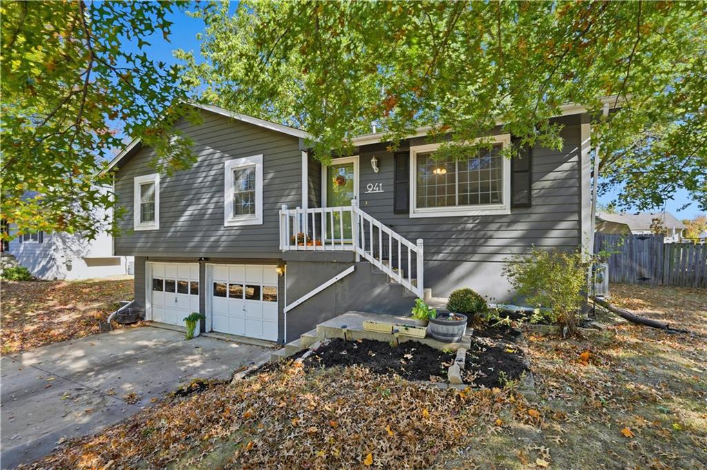 Listing Photo MLS #HMS2582945