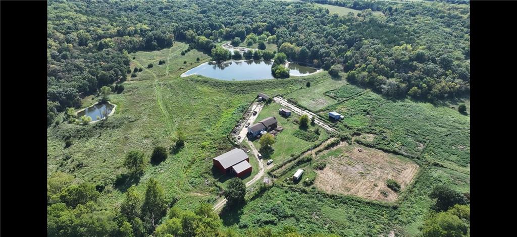 Listing Photo MLS #HMS2582968