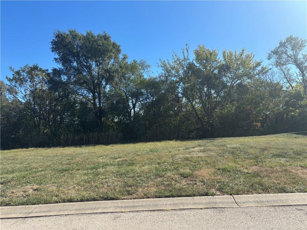 Listing Photo MLS #HMS2583231