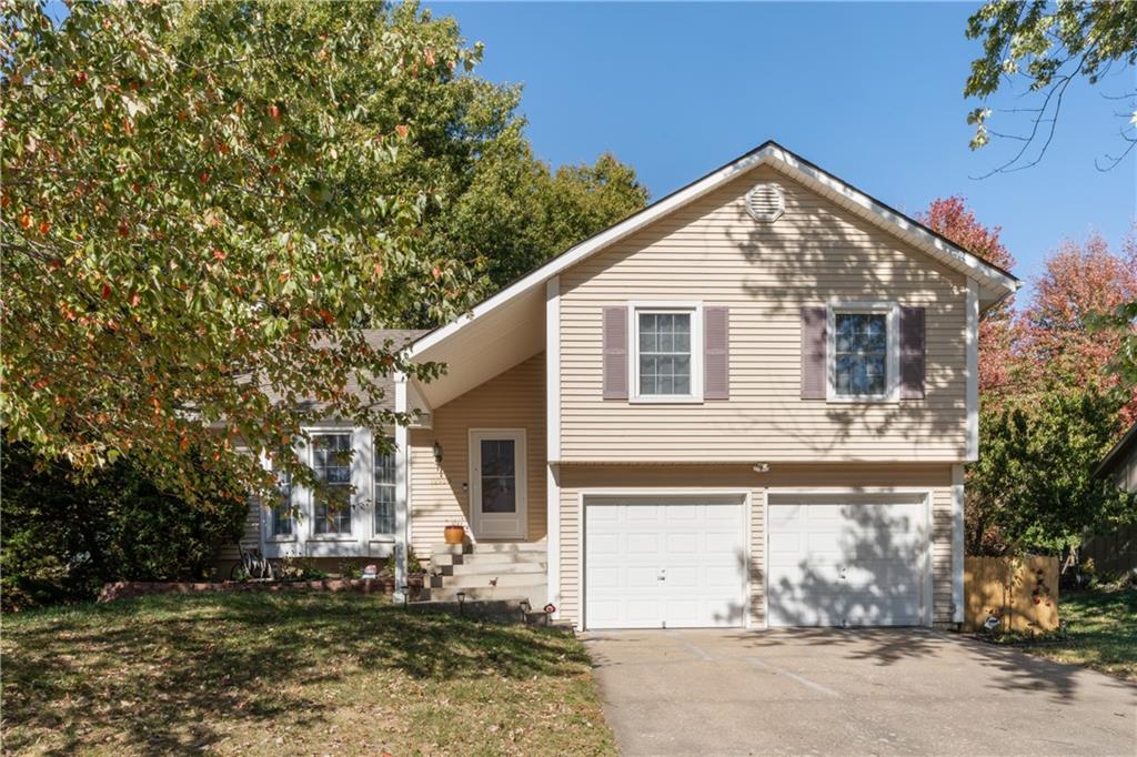Listing Photo MLS #HMS2583331