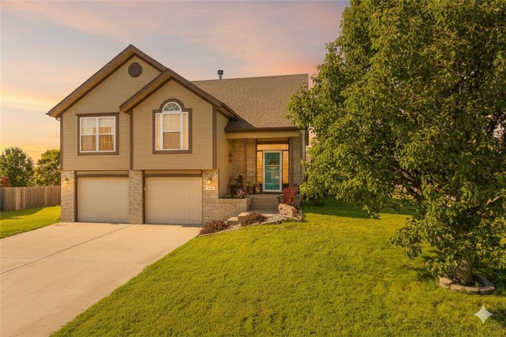 Listing Photo MLS #HMS2583404