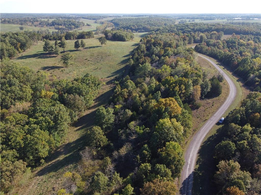 Listing Photo MLS #HMS2583465