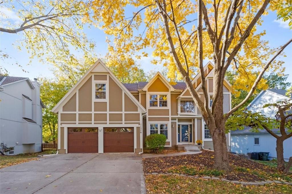 Listing Photo MLS #HMS2583498