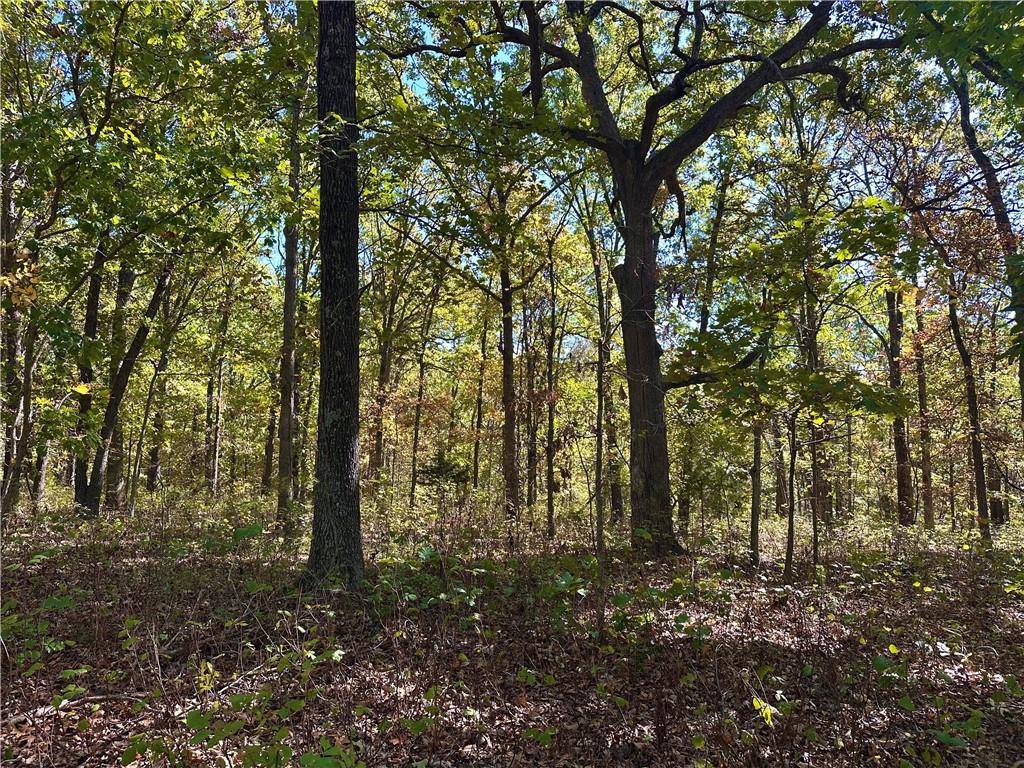 Listing Photo MLS #HMS2583825