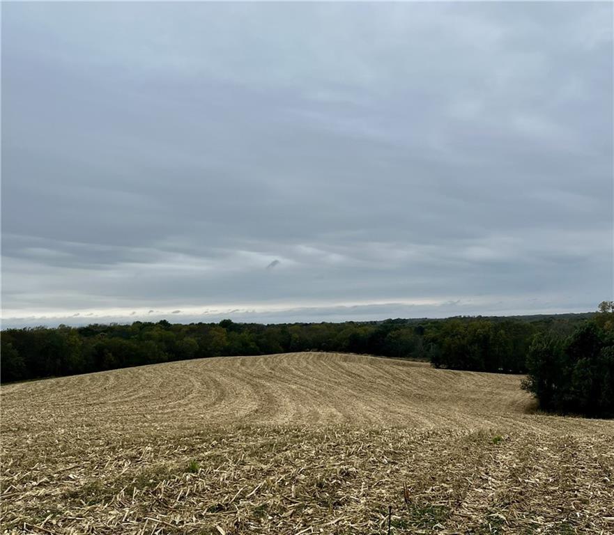 Listing Photo MLS #HMS2583833