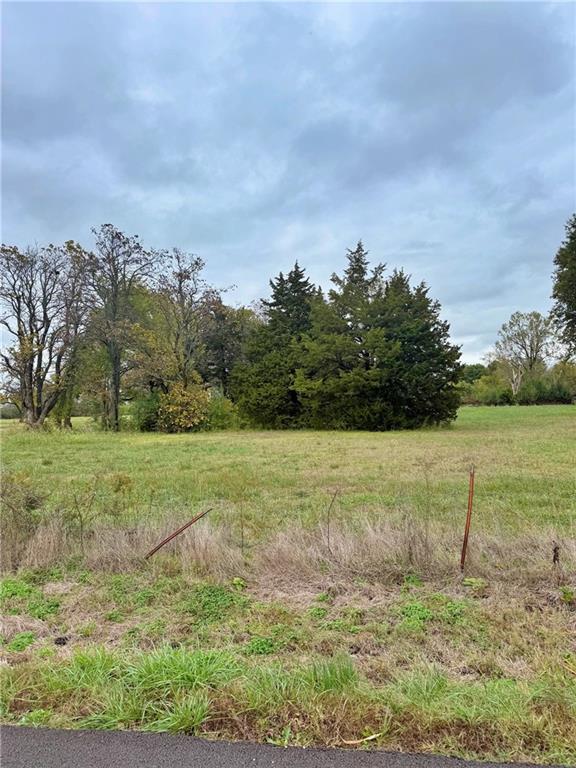 Listing Photo MLS #HMS2584026