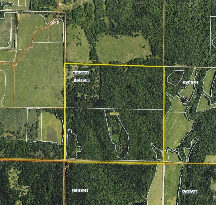 Listing Photo MLS #HMS2584114