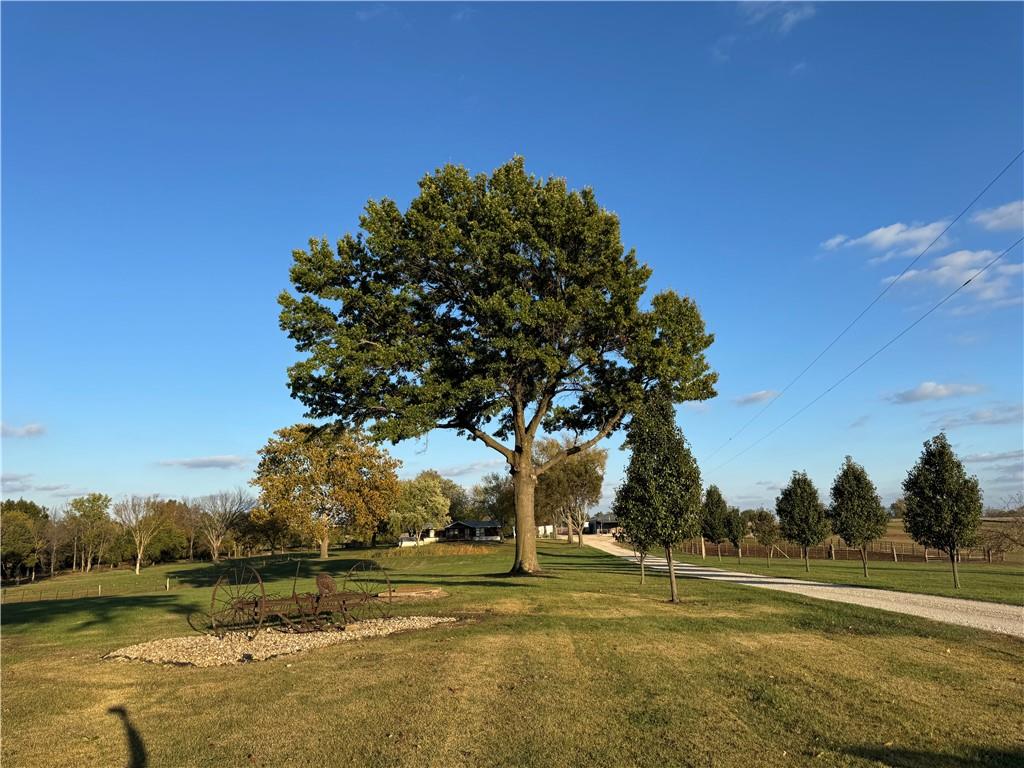 Listing Photo MLS #HMS2584690