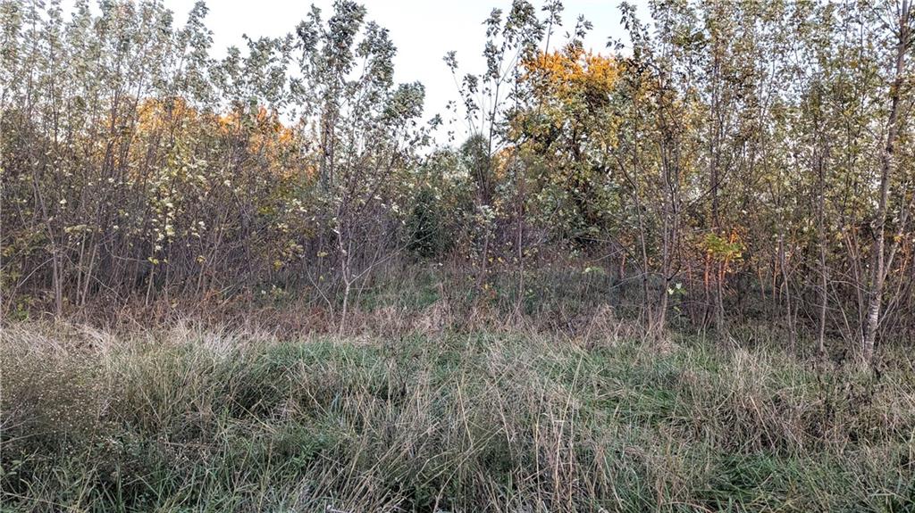 Listing Photo MLS #HMS2584805