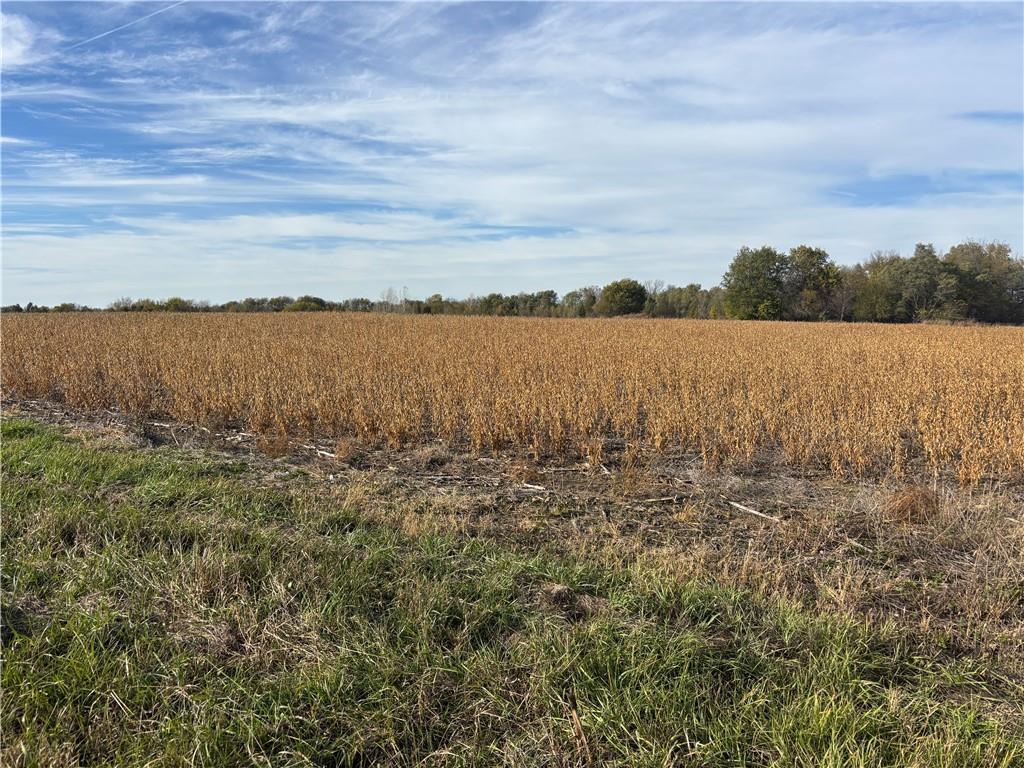 Listing Photo MLS #HMS2585165