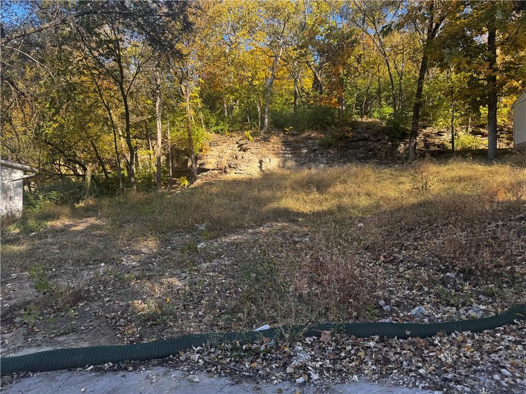 Listing Photo MLS #HMS2585245