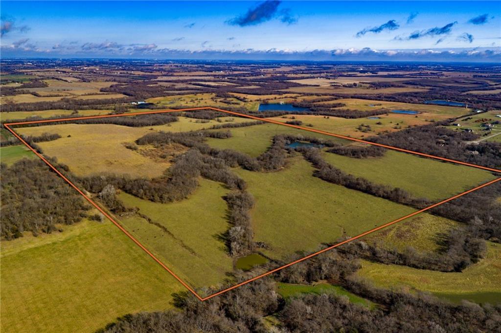 Listing Photo MLS #HMS2587051