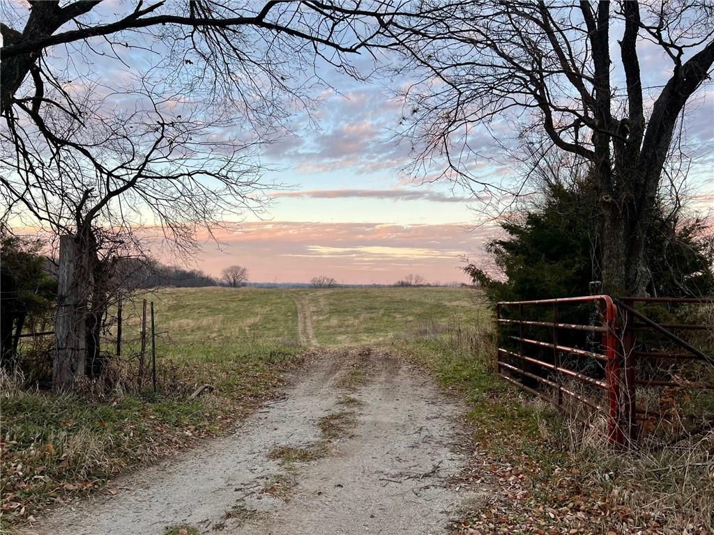 Listing Photo MLS #HMS2587799