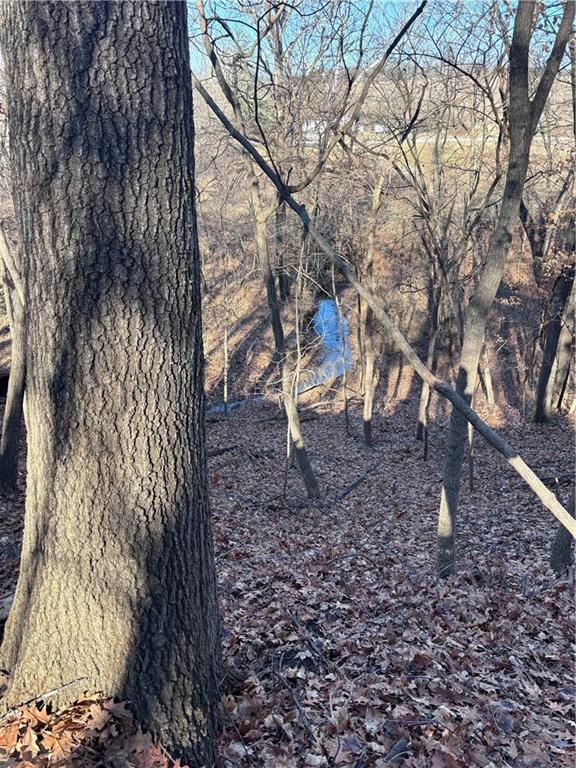 Listing Photo MLS #HMS2588353