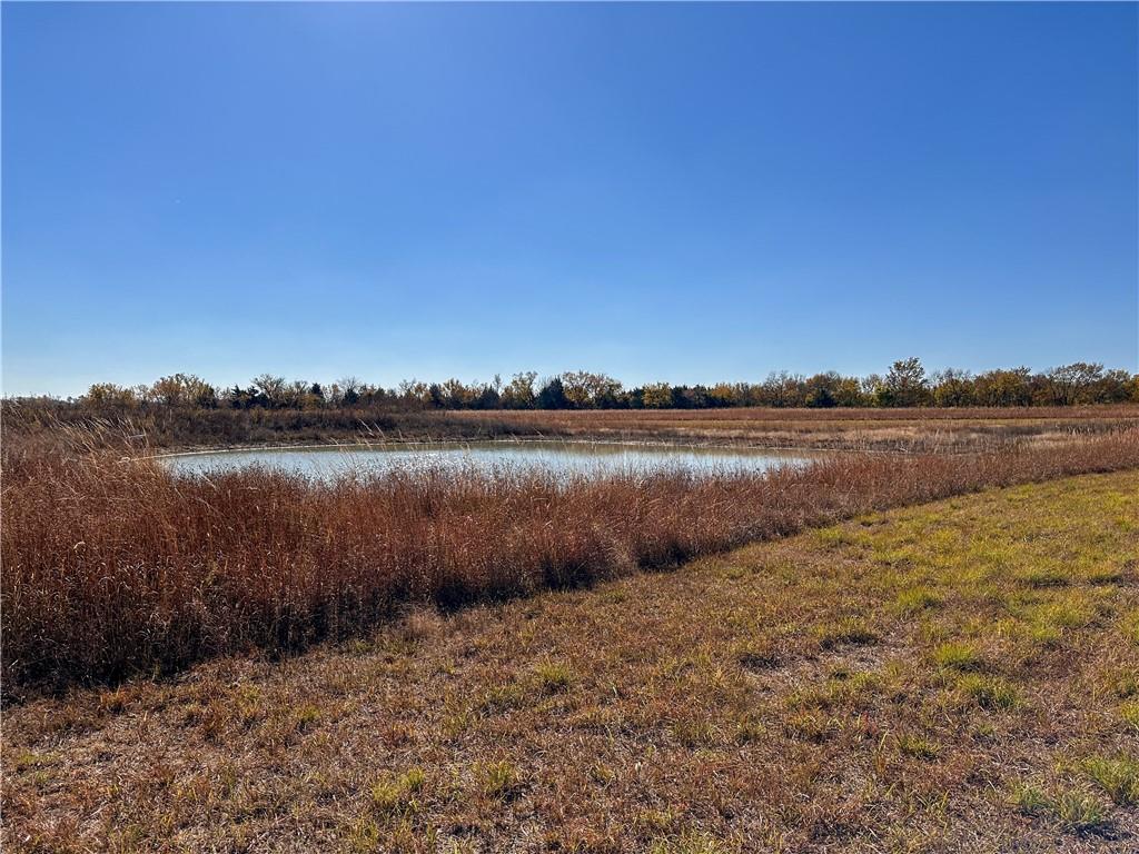 Listing Photo MLS #HMS2591500