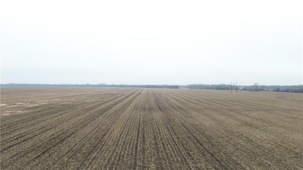 Listing Photo MLS #HMS2591549