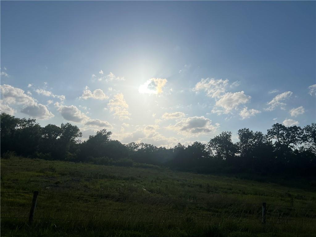 Listing Photo MLS #HMS2591620