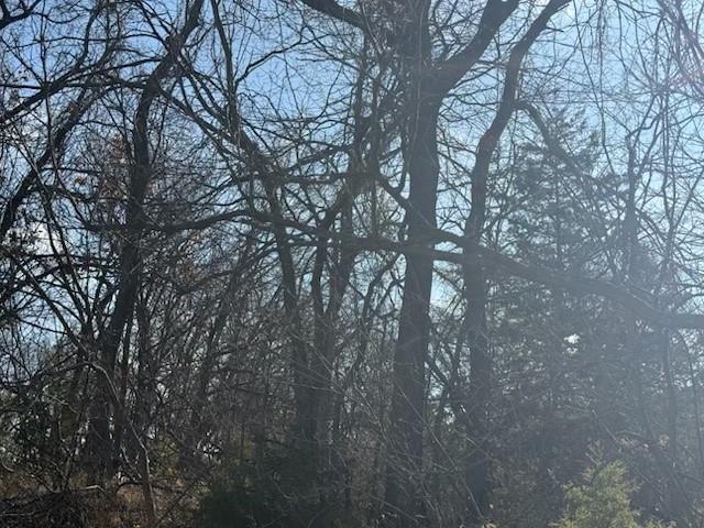 Listing Photo MLS #HMS2591762