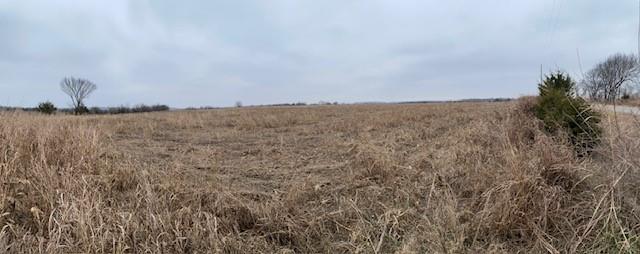 Listing Photo MLS #HMS2592652