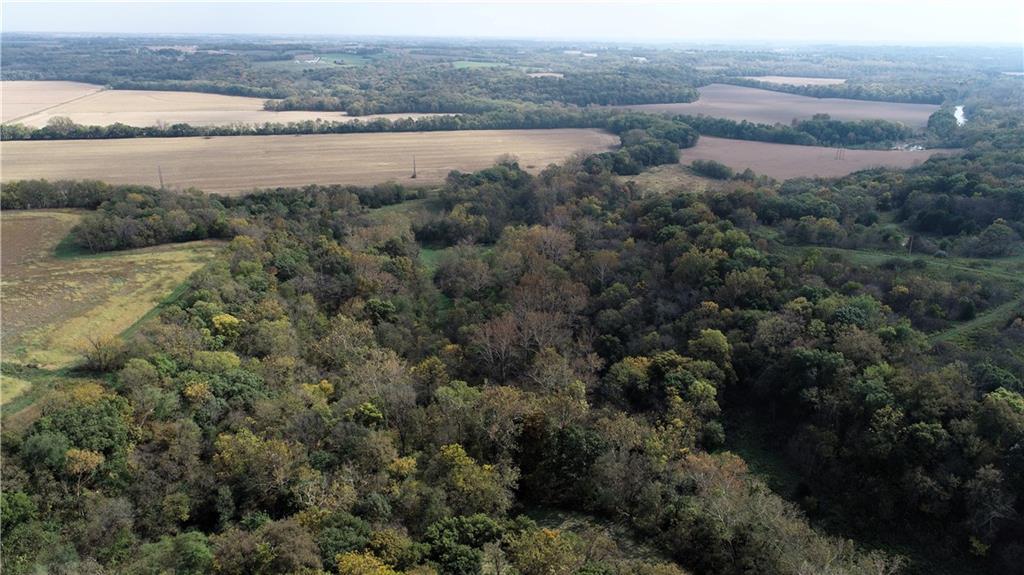 Listing Photo MLS #HMS2594671