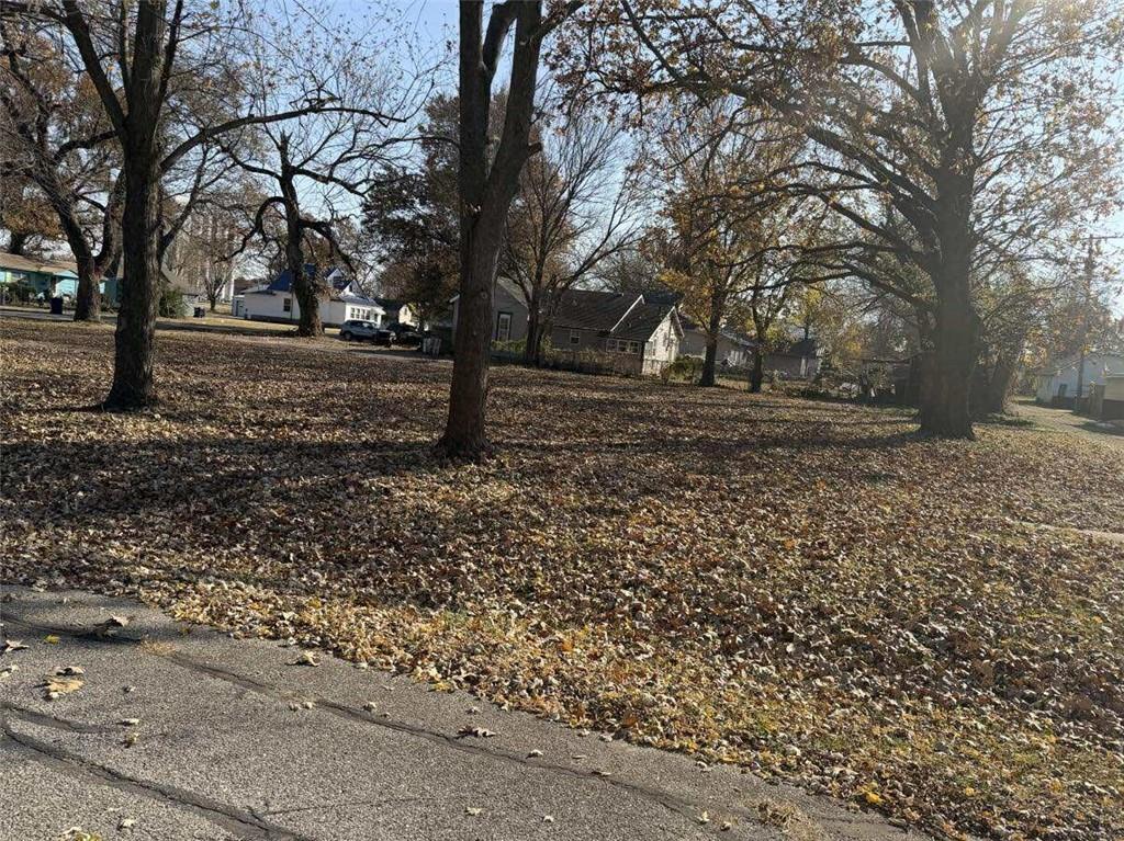 Listing Photo MLS #HMS2595904