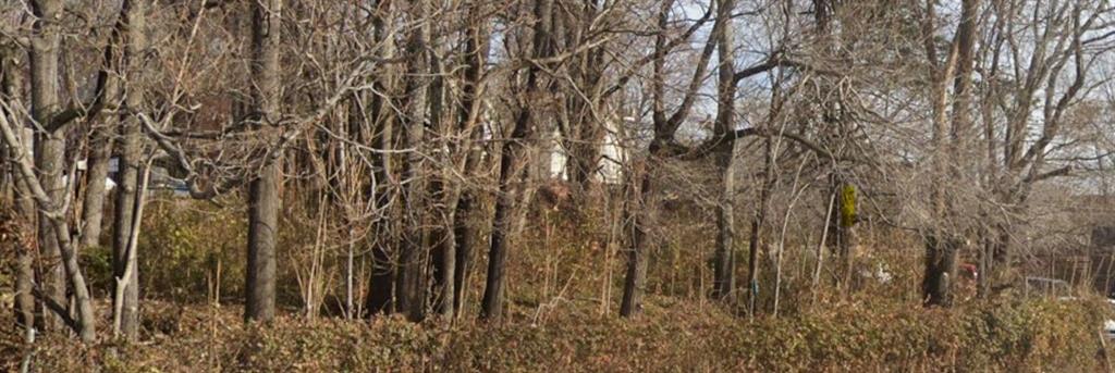 Listing Photo MLS #HMS2596003