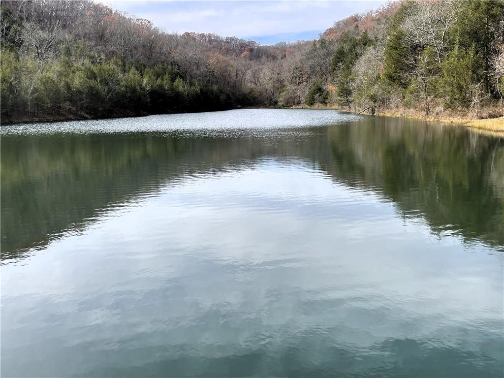 Listing Photo MLS #HMS2596993