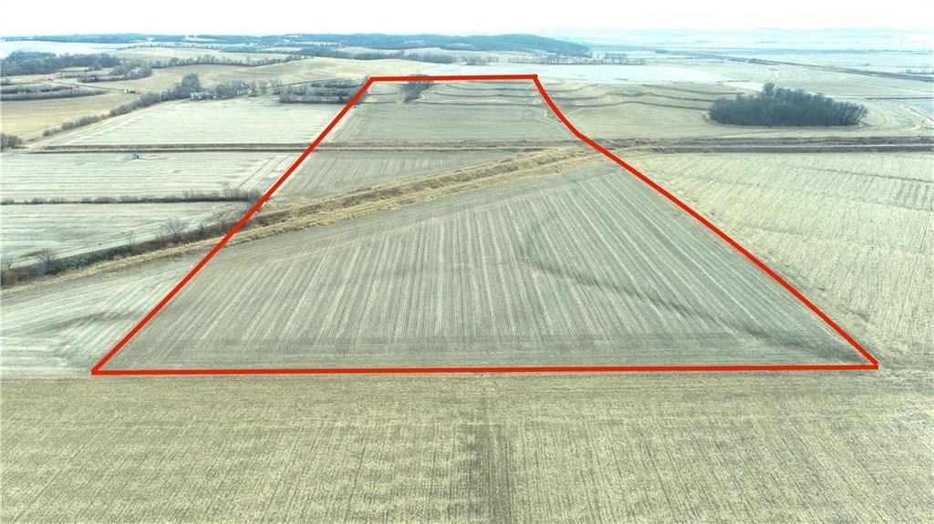 Listing Photo MLS #HMS2597508