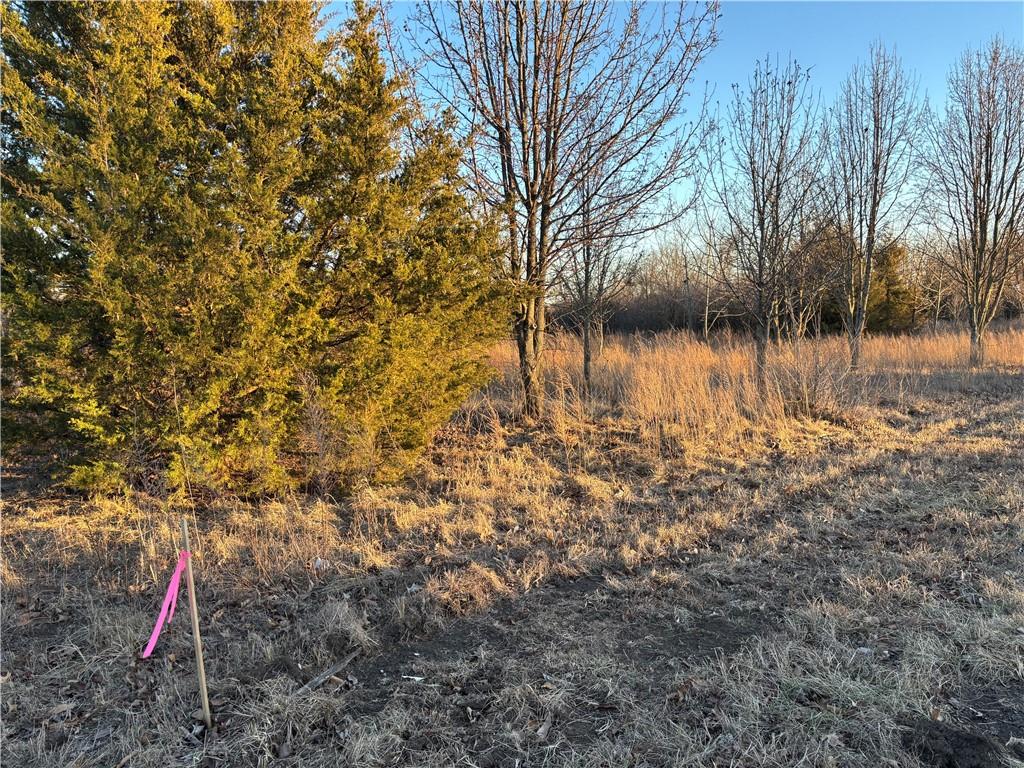 Listing Photo MLS #HMS2597759