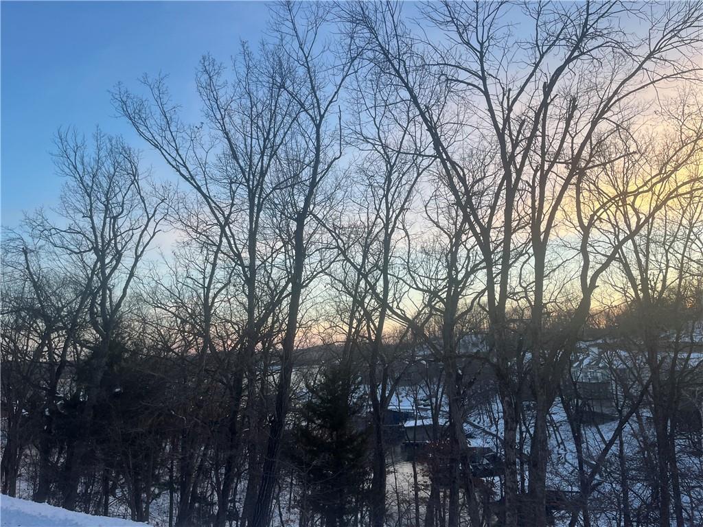 Listing Photo MLS #HMS2597910