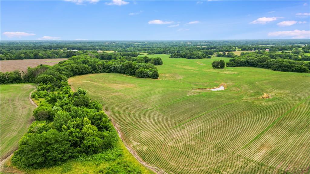 Listing Photo MLS #HMS2598495