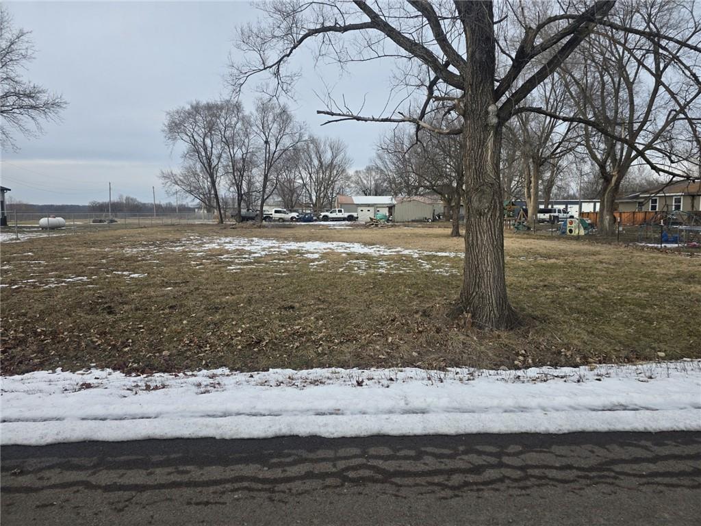 Listing Photo MLS #HMS2598971