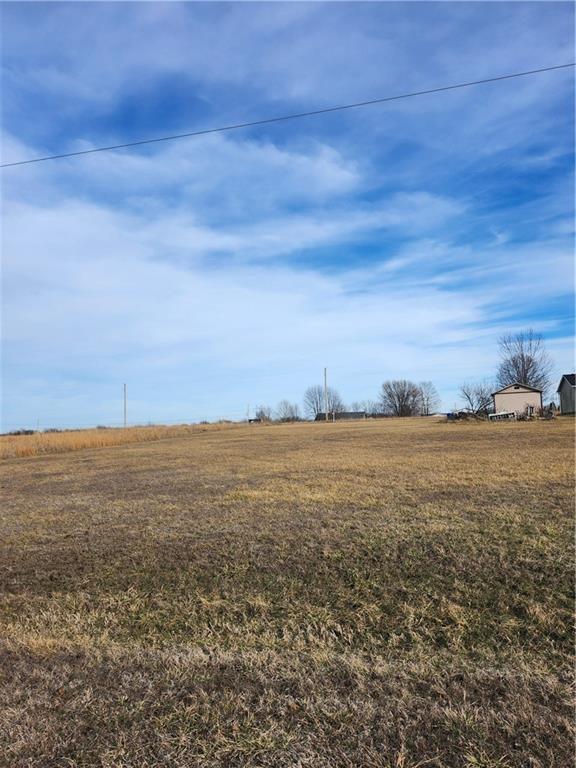 Listing Photo MLS #HMS2602476