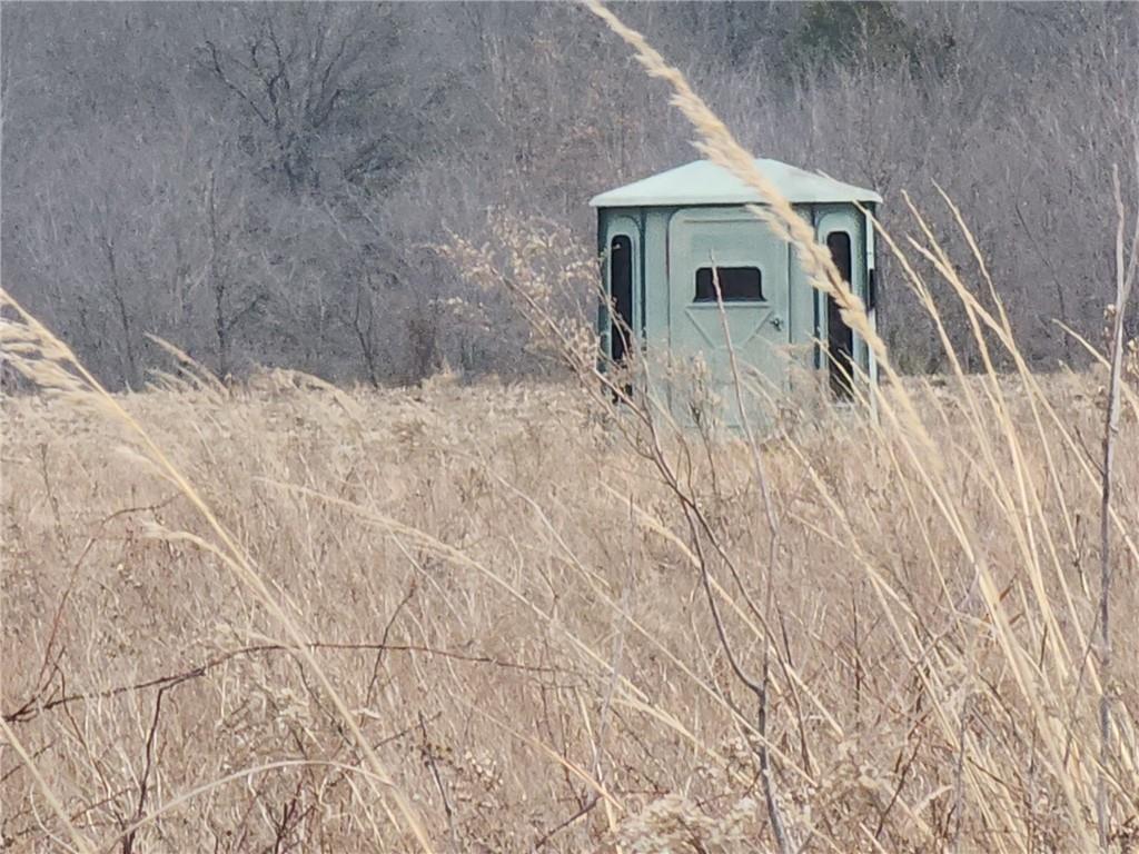 Listing Photo MLS #HMS2602679