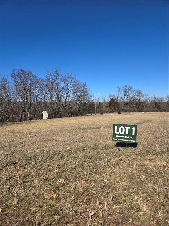 Listing Photo MLS #HMS2602838