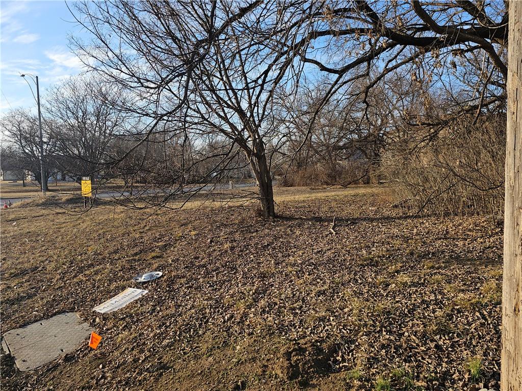 Listing Photo MLS #HMS2603799