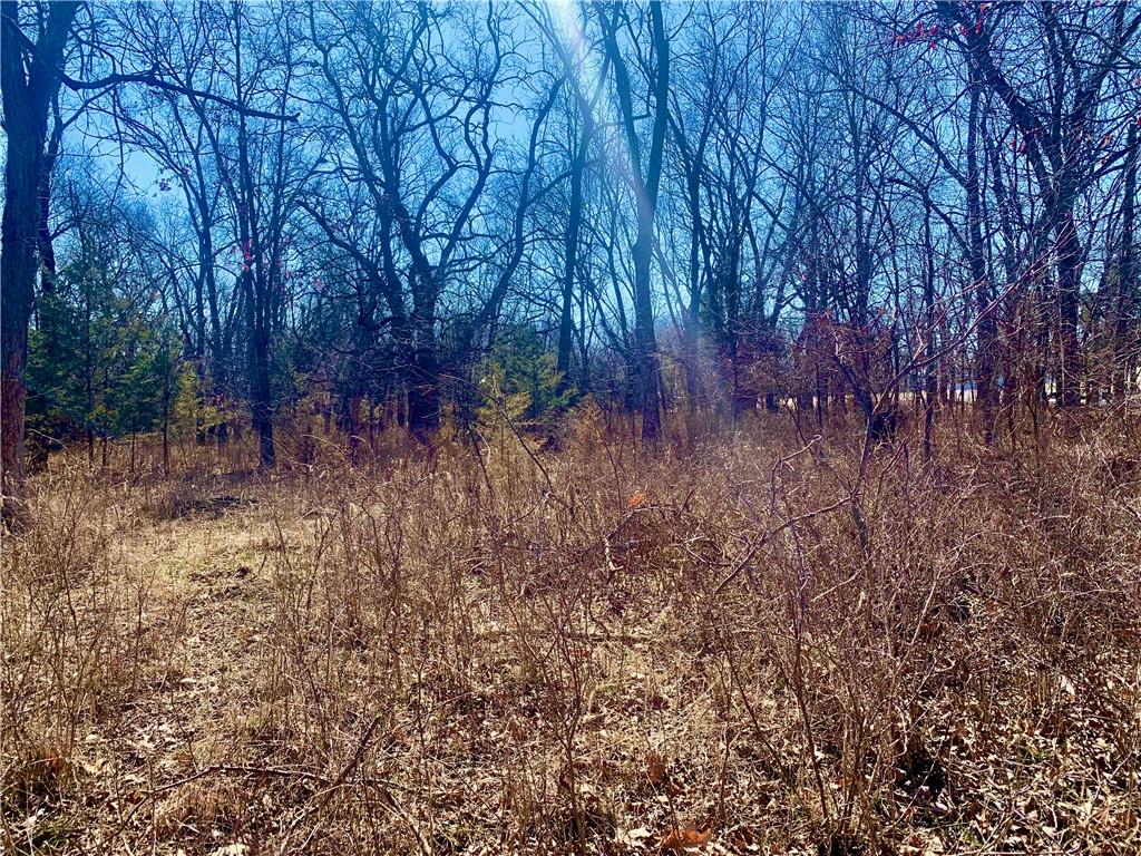 Listing Photo MLS #HMS2604056