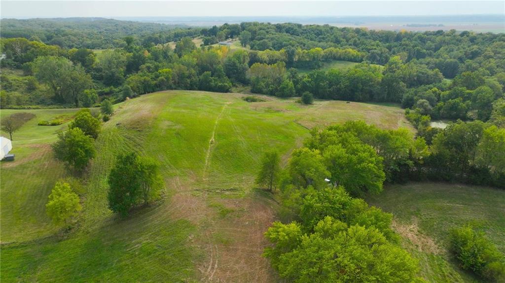 Listing Photo MLS #HMS2604818