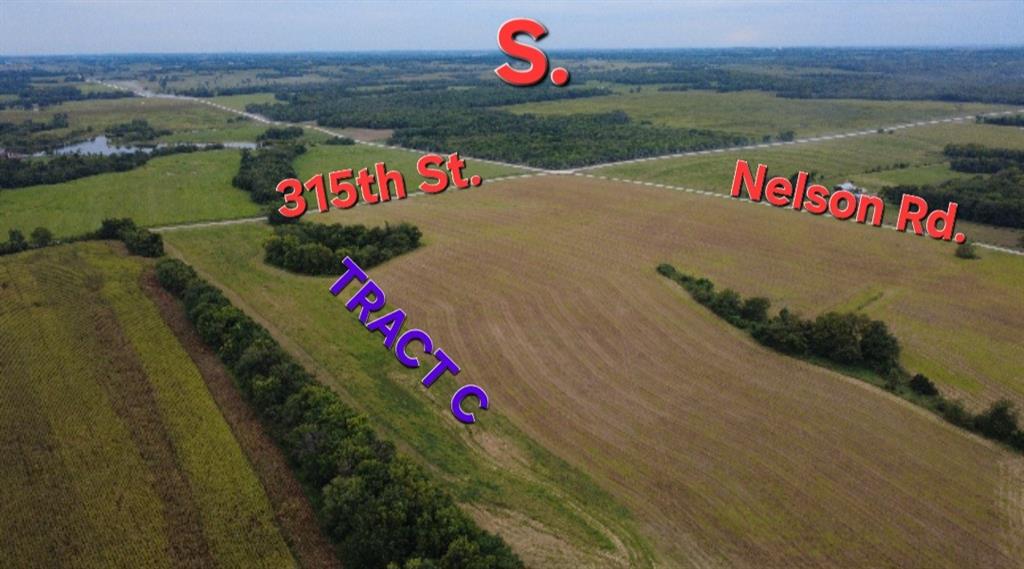 Listing Photo MLS #HMS2604902