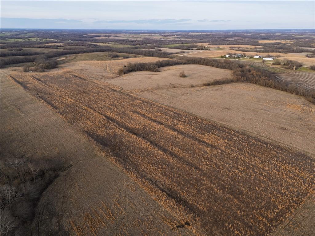 Listing Photo MLS #HMS2605280