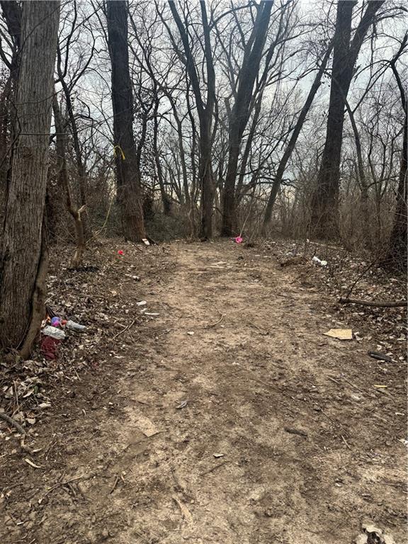 Listing Photo MLS #HMS2605398