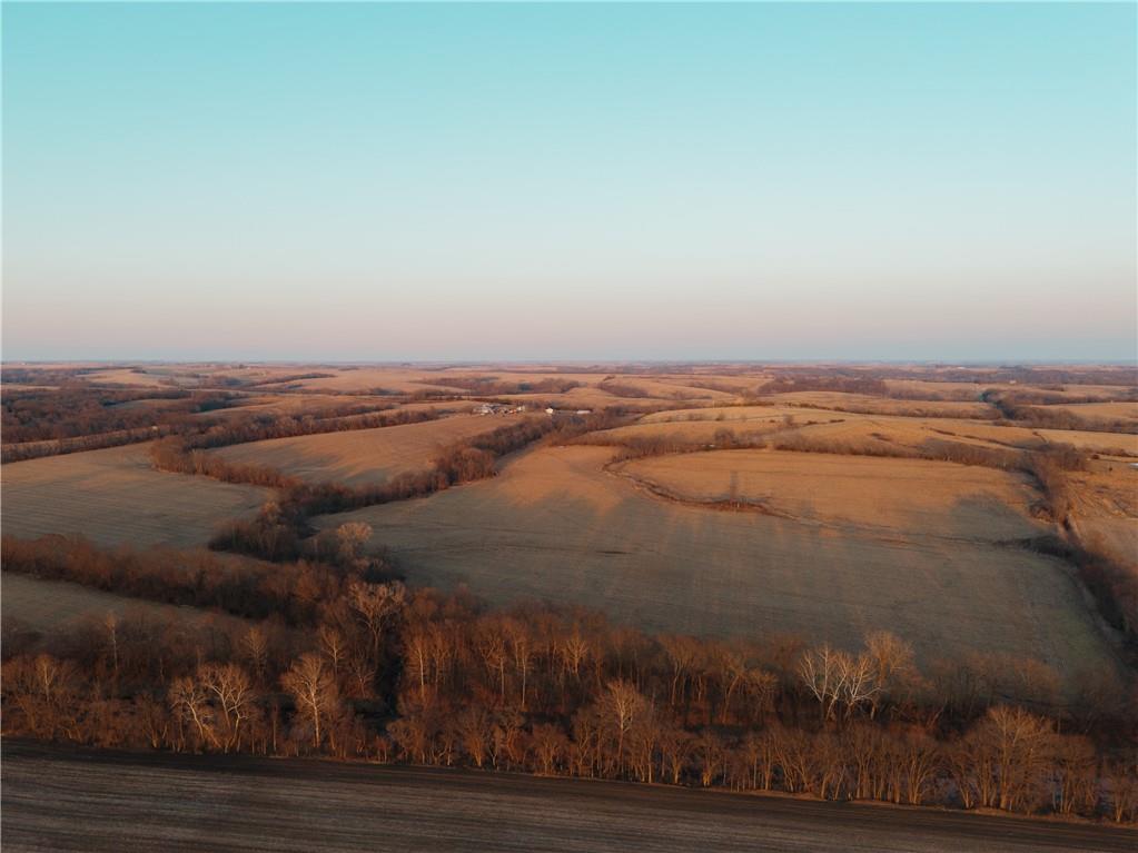 Listing Photo MLS #HMS2605724