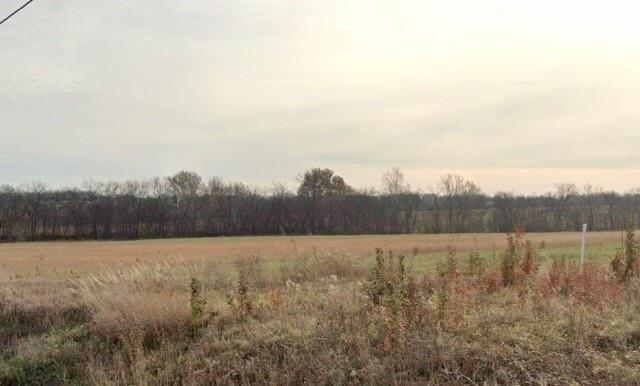 Listing Photo MLS #HMS2605989