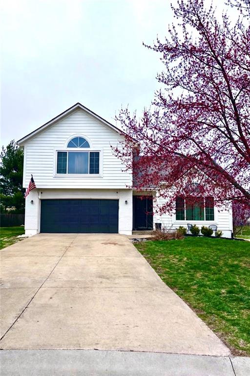 Listing Photo MLS #HMS2607368