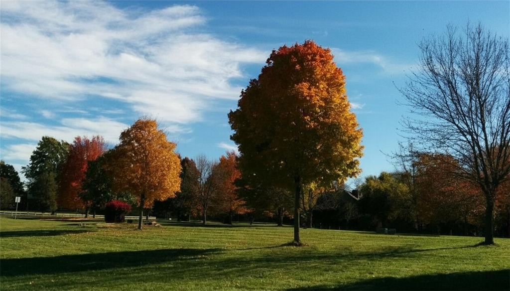 Listing Photo MLS #HMS2607667