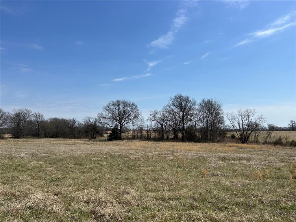 Listing Photo MLS #HMS2609010