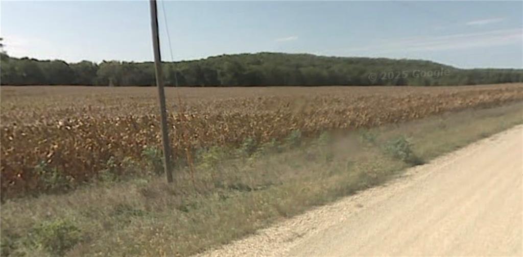 Listing Photo MLS #HMS2611906