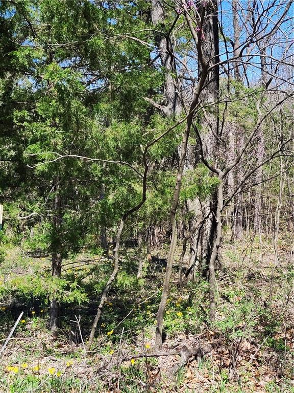 Listing Photo MLS #HMS2612276