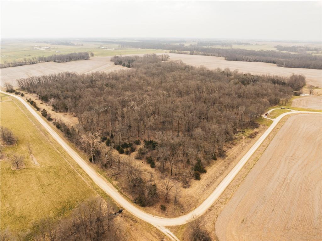 Listing Photo MLS #HMS2612909